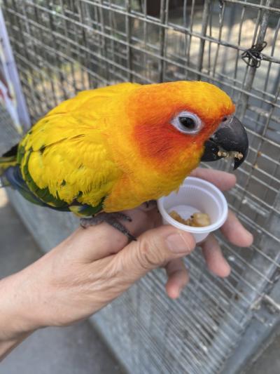 掛川花鳥園