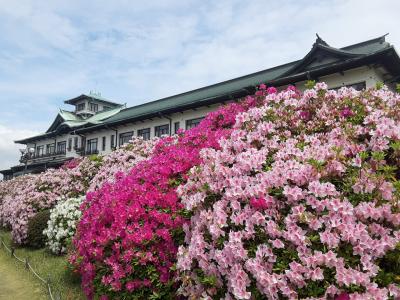 春の旅　蒲郡つつじまつり♪