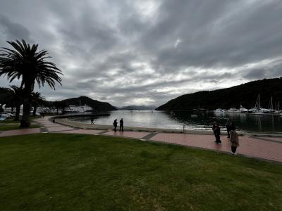 プリンセスクルーズ　ニュージーランドクルーズ３　ピクトンでハイキング・Fantailに遭遇～ウエリントンへ