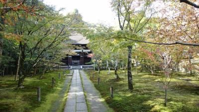 「京都人の密かな愉しみ」ロケ地巡り．１４　京田辺