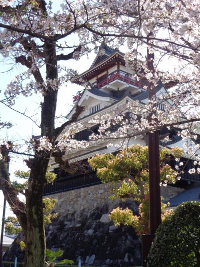 清須市五条川の桜です