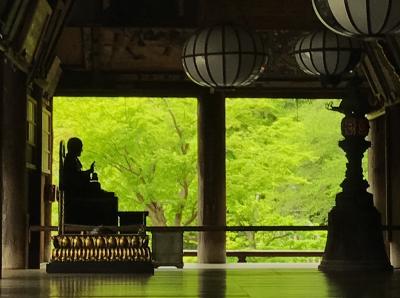 花の御寺（みてら）、長谷寺。牡丹の花は五分咲きだったが、案外観光客も少なくゆっくり楽しめた！