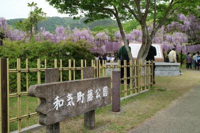 　和気神社の藤公園と教育のROOTS旧閑谷学校へ行ってミタ。岡山県　備前市