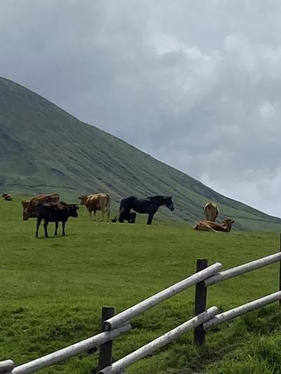 2024GW 熊本・大分の旅① 熊本編