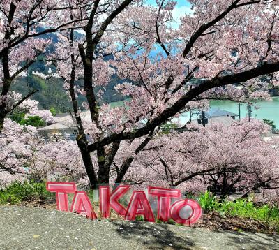 高遠桜と枝垂れ桜の光前寺にまつわる、絵島囲い屋敷と早太郎伝説。