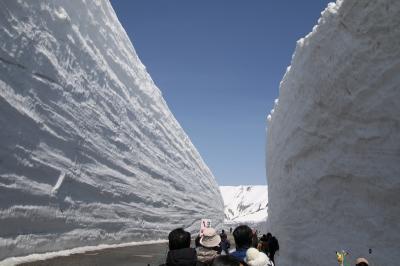 2年ぶり2度目の雪の大谷、14ｍの雪壁を観ることは出来ましたがライチョウには逢えませんでした。