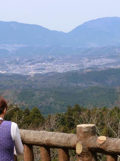 吉野山2/13　高城山展望台　奥千本～下り途中休憩所　☆吉野の山並みを見渡す　桜/つぼみ