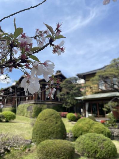 お魚天国やー☆*:.。. 春の熱海旅