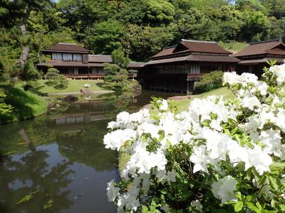 横浜散歩　三渓園へ行きました。　1