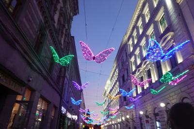 ☆手ごわいぞルーマニア、でも最高に楽しい！☆　２０２４年４月　ルーマニアの８つの街を巡る　１０（夜空に輝く蝶々　ティミショアラ　①）