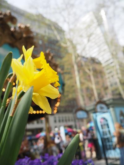 ニューヨーク②Day2は二本立てで国連本部見学ツアー&ハーバーライトクルーズ