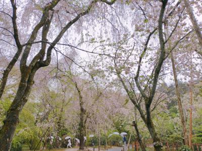 京都でマリオットに泊まる その４「龍安寺」