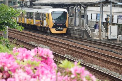 さわやかウォーキング（次郎長・サッカーのまち清水を巡る）JR東海