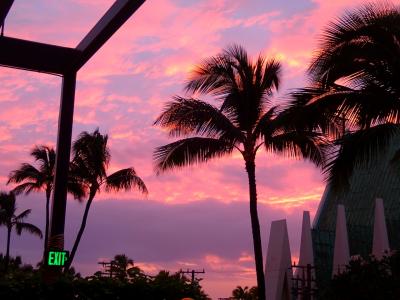４年ぶり♪2024Hawaii～2日目～