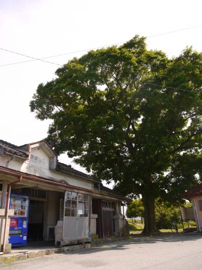 長野→富山→岐阜　ローカル線と温泉をめぐる12日間《富山地方鉄道編》【16：地鉄で駅巡り・その6（本線の海側）やっと電鉄富山まで】