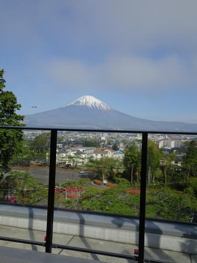 【車旅】天然温泉 富士桜の湯「ドーミーインexpress富士山御殿場」