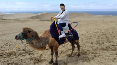 山陰名湯(皆生・玉造・三朝温泉)巡り旅3日目2024/4/23