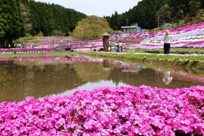 おおがや芝桜公園