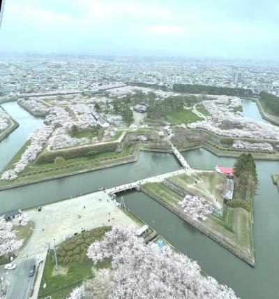 五稜郭の桜が見たくて北海道へ（後）五稜郭　函館公園　湯の川温泉