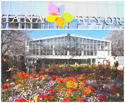 春いっぱいの東京へ～☆･ﾟ:*毎日がお花日和のHANA・BIYORI♪