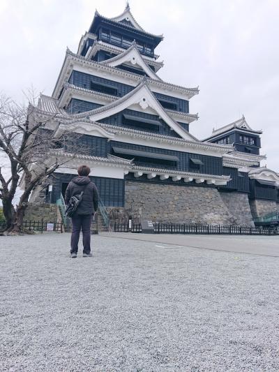 熊本さるく 再建された熊本城へ