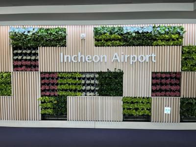 2024年5月　ソウル3泊4日夫婦旅行