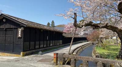 【山形・金山】レトロ美観の街並み散策・山形新幹線 日帰り一人旅