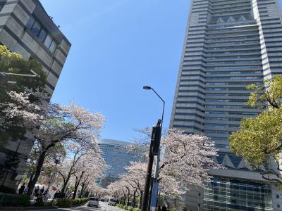 横浜ぶらり旅 ウェスティン横浜