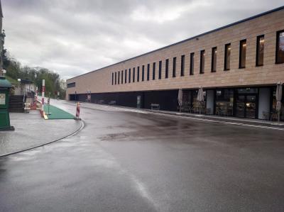 銀行とワインのスイス旅行(3/11)・・・バーデン、シャフハウゼンとドイツ領ビュージンゲン