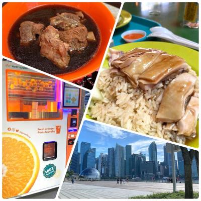 2024年4月　6年ぶりのシンガポールで食べ比べの旅　1