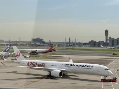 有休いらず！JAL A350-1000ビジネスクラスに乗りたくて日帰りニューヨーク