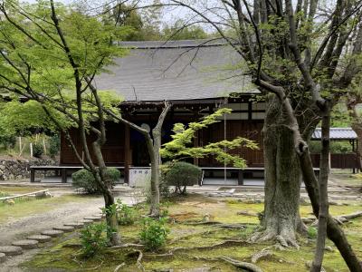 京都さんぽ　　　山科へ　皇室ゆかりの勸修寺　働く女性の守り神の折上神社から出発～その周辺を歩きます♪♪（前）