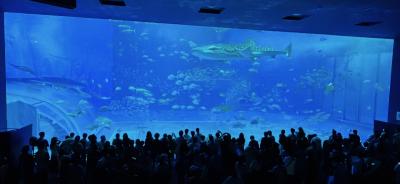 新千歳空港発 Peachに乗って沖縄へ 5泊６日の旅 *４　オリオンビール工場見学、美ら海水族館から沖縄最北端 編