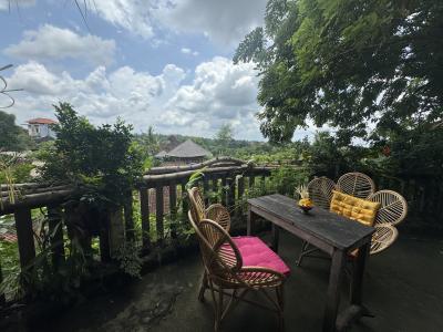 2024.2バリ島一人旅、マイルでビジネス、ファースト、エコ? その3バリ島滞在記、カーチャーターでウブドでじゃらんじゃらん!