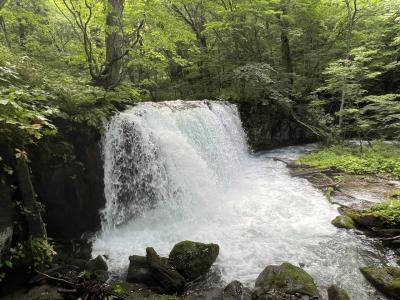 どこかにマイル第3弾、三沢日帰り旅