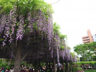 2024年GW前半　東京～川越ブラブラ
