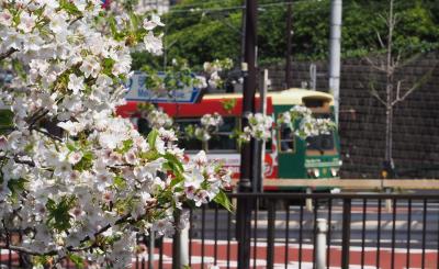 王子散歩 ～山あり谷あり史跡あり