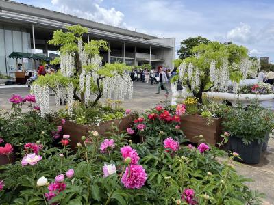 2024年5月　浜名湖花博と舘山寺温泉の旅②　はままつフラワーパーク編