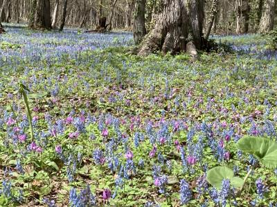 北海道レンターの旅・3つのお願い その②
