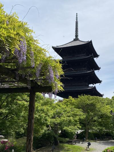 GW関西旅行【１】東寺、伏見稲荷、壬生寺の狂言、ねねの道、おばんざい、atelier京ばあむ、等