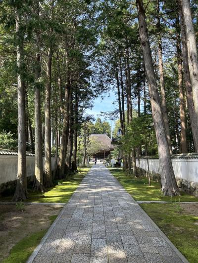 2024/4 高知お遍路2日目その3 第28番大日寺→第29番国分寺