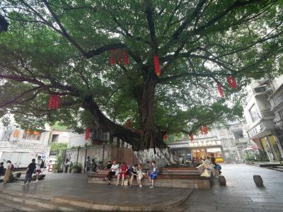 温州（2023年6月楠渓江温州旅行②）