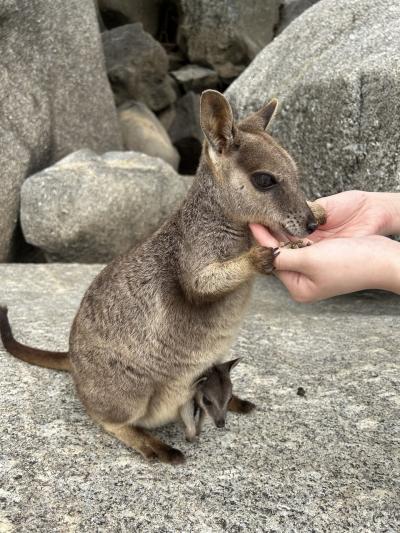 GW ケアンズ最安女子旅ツアー♪