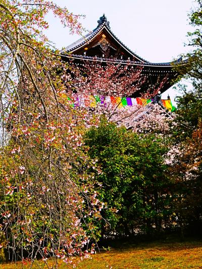 京都-4　知恩院a   友禅苑　友禅染始祖記念/昭和の名園　☆湧き水の池庭園・枯山水の庭園