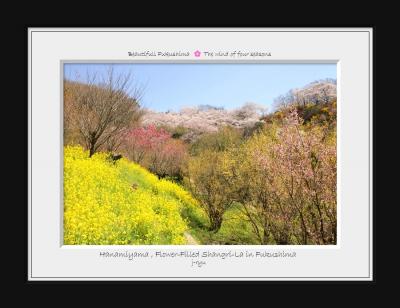 ◆福島の桃源郷＊花見山2024～生け花の里編