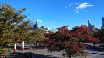 渋谷でお散歩♪2022