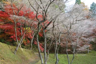 2023 滋賀・岐阜・愛知の紅葉の旅 3日目