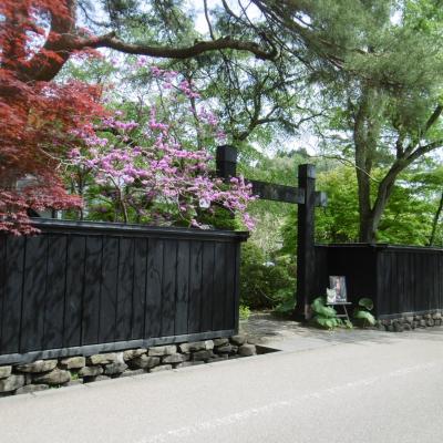 桜たずねて北へ北へーその1.角館編ー