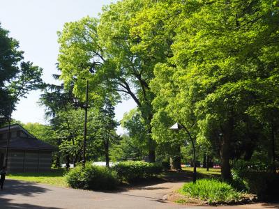 2024 GW 東京散歩