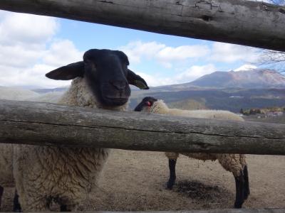 霧島から宮崎へ寄り道しながら。